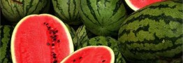 قیمت هندوانه شب یلدا اعلام شد