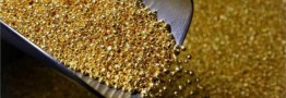 پیش‌بینی جالب اقتصاددانان از ارزان شدن قیمت طلا