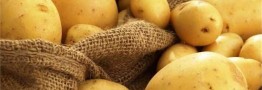 کاهش ۲۰ درصدی قیمت سیب زمینی در روز&zwnj;های آینده