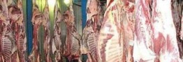 مجوز واردات ۱۰ هزار تن گوشت صادر شد/ به دلیل سقوط ارزش روبل، شانس روسیه قوت گرفت