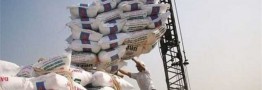 واردات؛ تنها راهکار برای مهار قیمت برنج