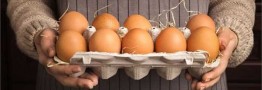 علت افزایش اخیر قیمت تخم مرغ