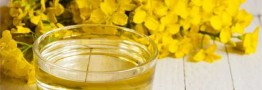 باقی&zwnj;مانده مطالبات کلزاکاران واریز شد/ پرداخت ۱۰۰ درصدی پول خرید تضمینی کلزا
