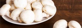 تلاش برای صادرات قارچ به روسیه