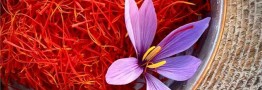 بزرگترین قرارداد تجاری زعفران جهان میان ایران و قطر به امضا رسید