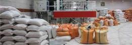 قیمت برنج در بازار متعادل شد/ کمبودی وجود ندارد