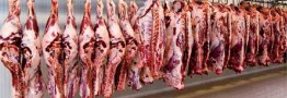 وضعیت بازار گوشت چگونه است؟