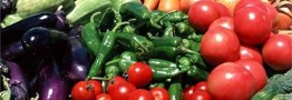بازار صیفی&zwnj;جات داغ شد/خیار و پیاز در صدر افزایش قیمت