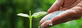 صدور ۱۵۷ فقره مجوز صادراتی کود شیمیایی/ قیمت کودهای یارانهای افزایش نمییابد