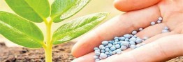 خودکفایی کودهای کشاورزی تا سه سال آینده
