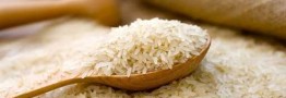 قیمت برنج کاهش می‌یابد