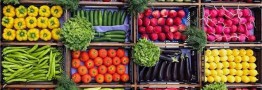 شاخص قیمت جهانی غذا برای اولین&zwnj;بار افزایش یافت