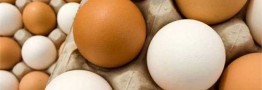 اعلام نرخ جدید تخم مرغ در میادین میوه و تره بار