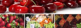 میوه&zwnj;های نوبرانه ارزان می&zwnj;شود