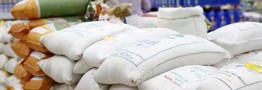 کشور فقط به یک میلیون تن برنج وارداتی نیاز دارد