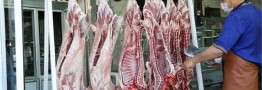 بازار گوشت قرمز به حال خود رها شده است