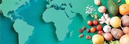 قیمت جهانی غذا همچنان بر مدار کاهش