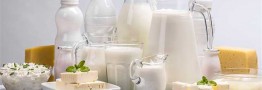 ارزآوری محصولات لبنی با ایجاد پالایشگاه شیر به ۲ میلیارد و ۷۰۰ هزار دلار می رسد