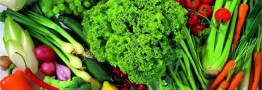 عرضه سبزیجات در میادین و بازار‌های تره بار ۳۱ درصد ارزان‌تر از سطح شهر