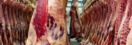 محدودیتی برای واردات گوشت قرمز وجود ندارد