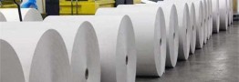 صادرات کاغذ بسته‌بندی به اروپا و آسیا/ حضور چین، هند و اندونزی در نمایشگاه کاغذ