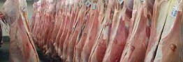 تشریح دلایل تاخیر در ترخیص محموله گوشت&zwnj;های منجمد وارداتی
