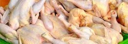 هر کیلو گوشت مرغ در بازار ۸۵.۸۰۰ تومان