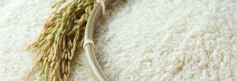 راه‌‌اندازی سامانه ‌کنترل میزان واردات برنج ‌