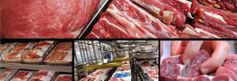 افزایش واردات؛ تنها راهکار تنظیم بازار گوشت گوسفندی برای ایام پایانی سال