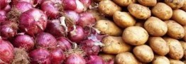 علت اصلی مازاد تولید سیب زمینی و پیاز چیست؟