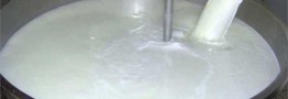 تولید ۱۱.۷ میلیون تن شیرخام در کشور/ ایران نوزدهمین تولیدکننده شیر جهان