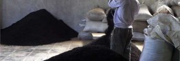 میزان واردات چای سیاه به کشور/ مازاد ۳۰ هزار تنی چای وارداتی در بازار ایران
