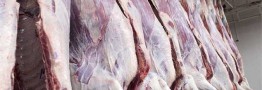 واردات گوشت قرمز به ۱۰۳ هزار تن رسید