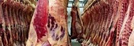 دلیل صف&zwnj;های طولانی خرید گوشت تنظیم بازاری اعلام شد