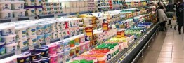 کاهش ۸۰ درصدی تعداد شرکت‌های لبنی ایران/ انبار ۱۰۰ هزار تن شیر خشک