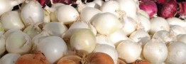بازار پیاز به آرامش رسید