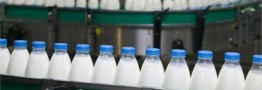 شیر گران می&zwnj;شود