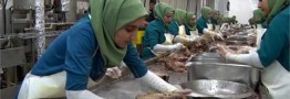 تولید کنندگان مواد غذایی حق استفاده از اتباع خارجی را ندارند