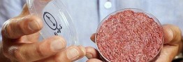 عرضه گوشت پاک در سراسر جهان تا ۲ سال دیگر