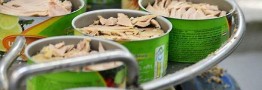 واردات ۵۰ درصدی تنماهیان نرخ کنسرو را ۲ بار افزایش داد