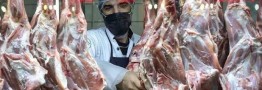 توزیع گوشت وارداتی به قیمت 710 هزار تومان در فروشگاه‌های زنجیره‌ای