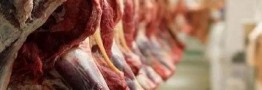 سکوت سیاستگذار در برابر افزایش قیمت بیسابقه گوشت