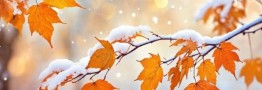 هواشناسی ایران۱۴۰۴/۷/۱؛هشدار نارنجی فعالیت سامانه بارشی در ۱۰ استان/بارش اولین برف پاییزی