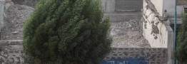 باد و بارش پراکنده در شهرهای مرزی ایران و عراق