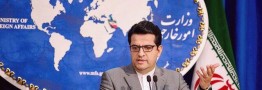 موسوی: رفتار مرزبانی آمریکا با ایرانیان، نژادپرستی مطلق و نقض حقوق بشر است
