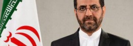 مشاور ظریف : ایران در سه سطح می تواند تعرض آمریکا به هواپیمای ماهان را پی گیری کند