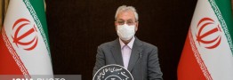 سخنگوی دولت: ۲۲۰ تن مرغ منجمد توزیع می شود