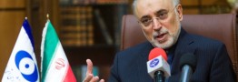 صالحی: ویروس استاکسنت به چند کارخانه پتروشیمی آسیب رساند