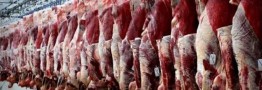 روند ریزشی قیمت گوشت قرمز به دلیل وفور عرضه در بازار