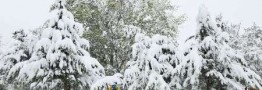 برف و کولاک استان اردبیل را فرا گرفت / مردم از سفرهای غیر ضروری خوداری کنند
